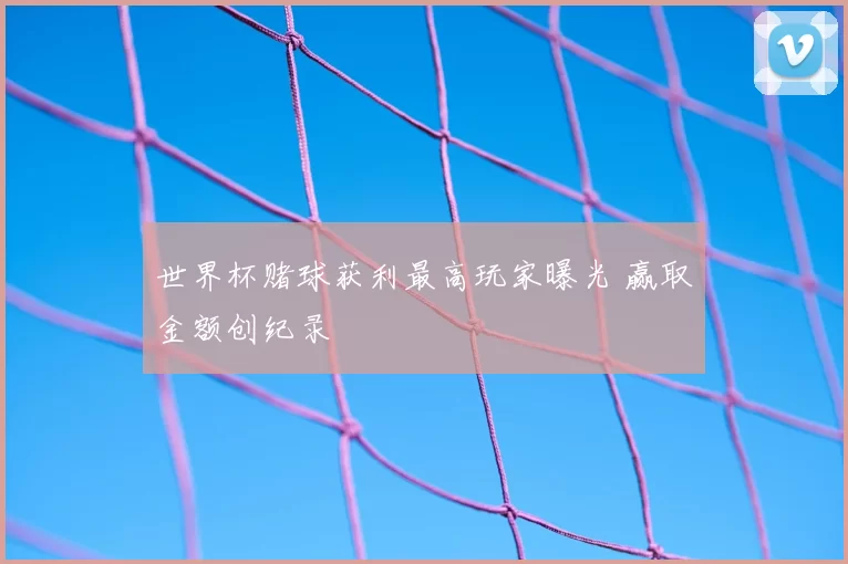 世界杯赌球获利最高玩家曝光 赢取金额创纪录