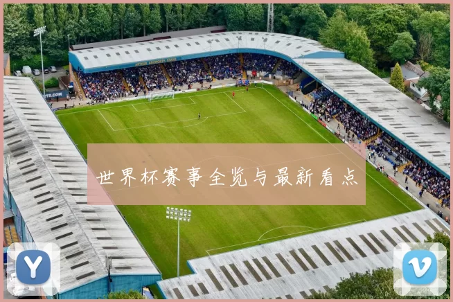 世界杯赛事全览与最新看点