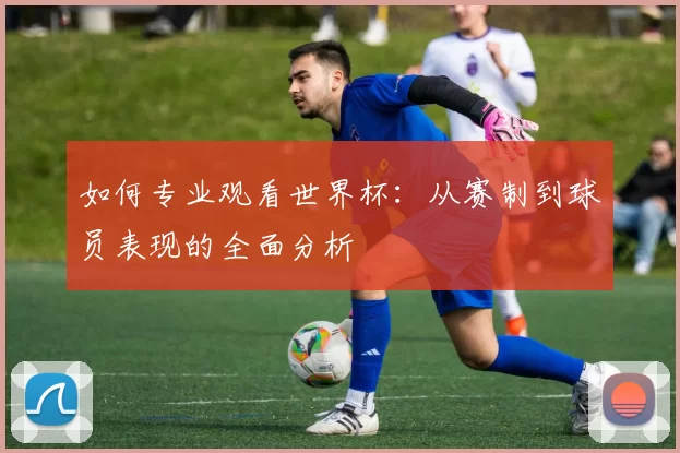 如何专业观看世界杯：从赛制到球员表现的全面分析