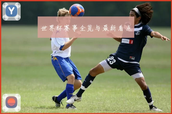 世界杯赛事全览与最新看点