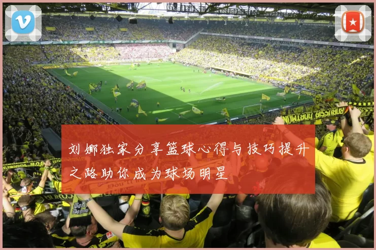 刘娜独家分享篮球心得与技巧提升之路助你成为球场明星