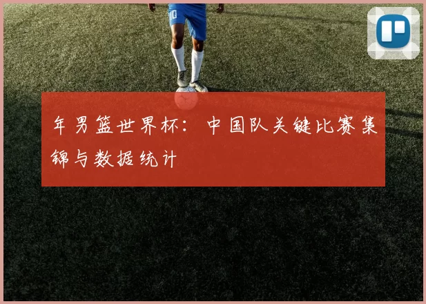 年男篮世界杯：中国队关键比赛集锦与数据统计