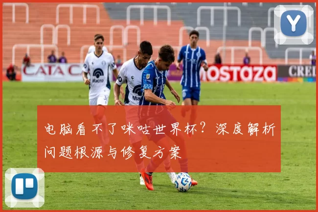 电脑看不了咪咕世界杯？深度解析问题根源与修复方案