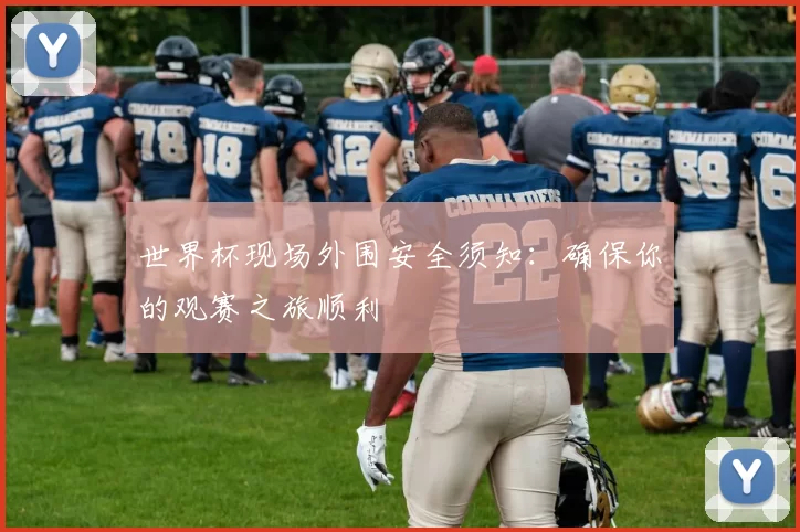 世界杯现场外围安全须知：确保你的观赛之旅顺利
