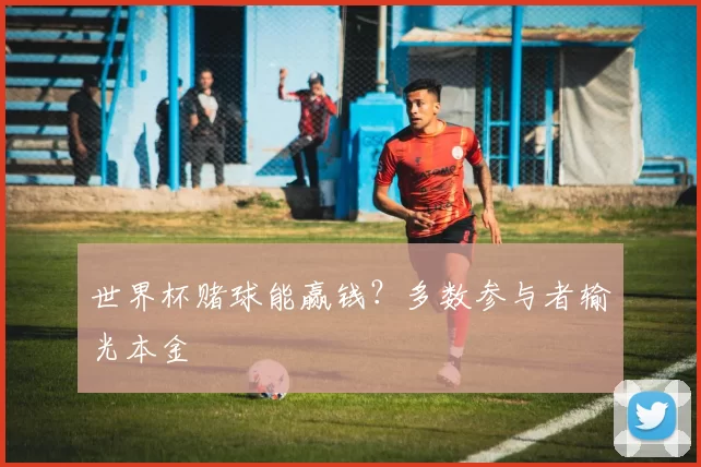 世界杯赌球能赢钱？多数参与者输光本金