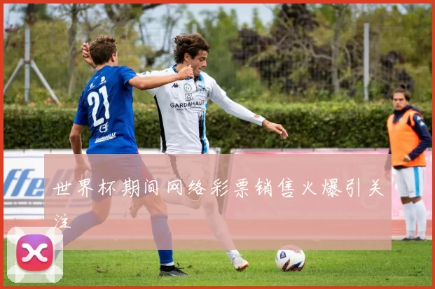 世界杯期间网络彩票销售火爆引关注