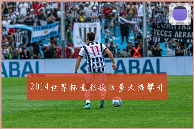 2014世界杯竞彩投注量大幅攀升