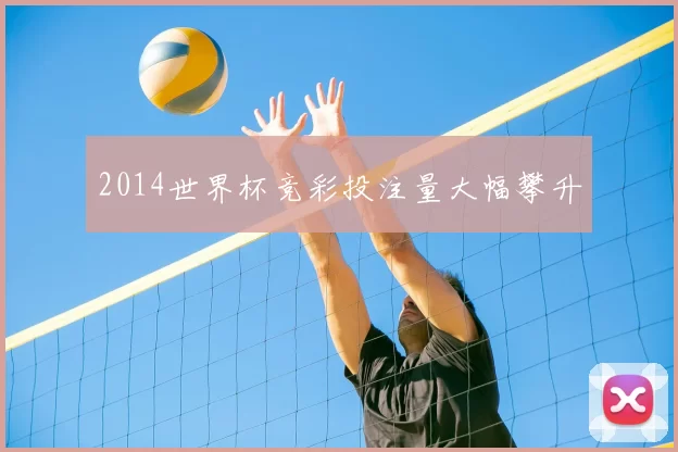 2014世界杯竞彩投注量大幅攀升