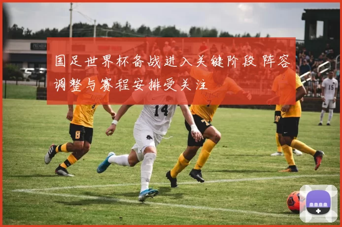 国足世界杯备战进入关键阶段 阵容调整与赛程安排受关注